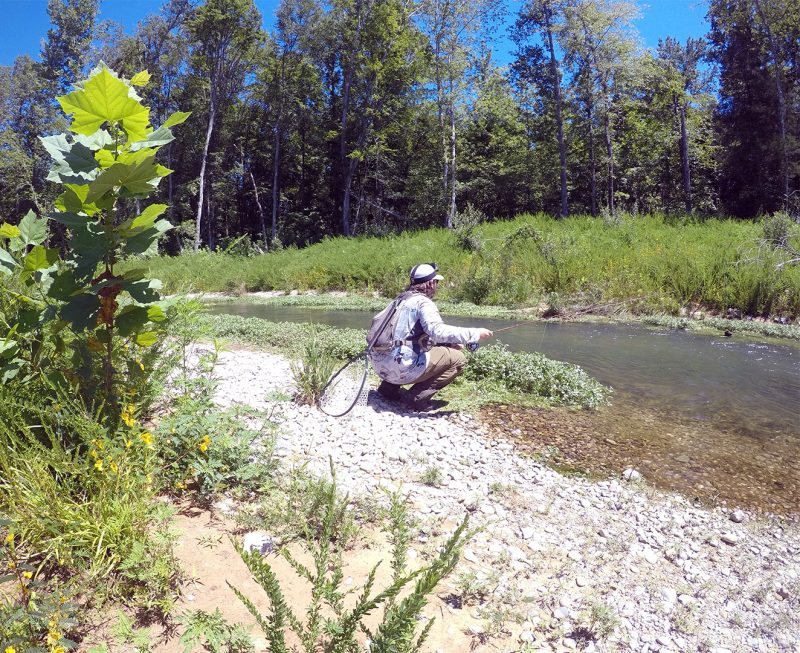 Hatchery Creek is a fly fishing paradise located near Jamestown KY!