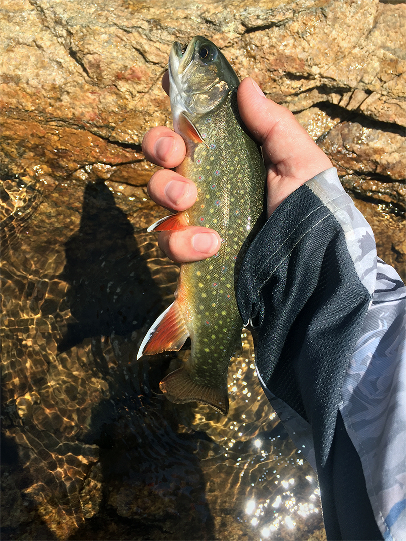 Fly Fishing The Indian Peaks Wilderness Colorado