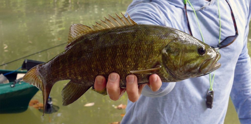 Rockcastle River float outside of Livingston, Rockcastle Co. Kentucky